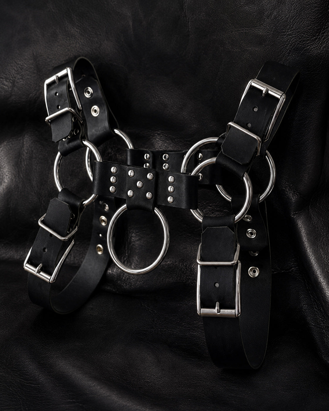 Black leather harness with silver rings and hardware
